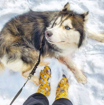 Rain Boots