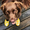 Sloggers Women's Original Garden Shoe in Chicken Daffodil Yellow