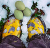 Sloggers Women's Original Garden Shoe in Chicken Daffodil Yellow